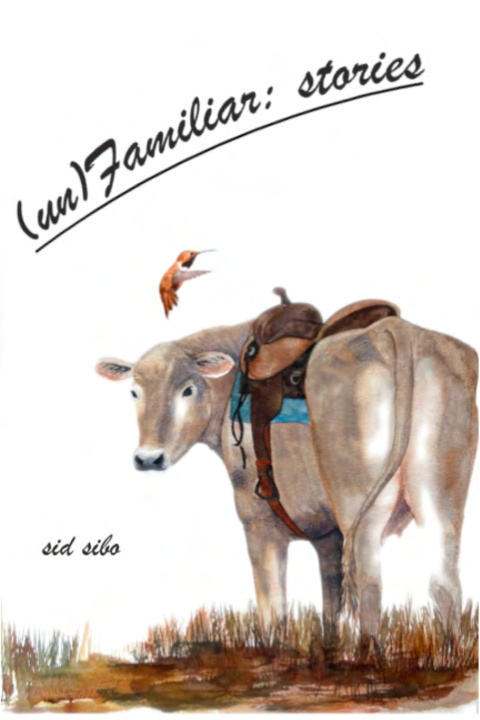 Kniha (un)Familiar - stories sid sibo
