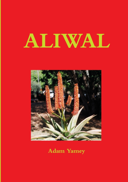 Book ALIWAL Adam YAMEY