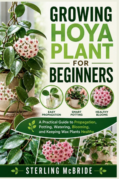 Carte GROWING HOYA PLANT FOR BEGINNERS STERLING MCBRIDE