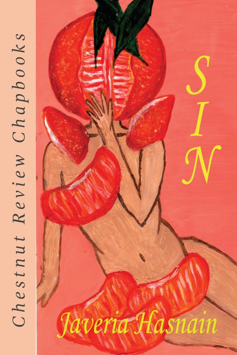 Boek SIN Javeria Hasnain