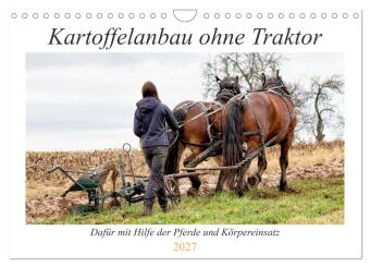 Kalendář/Diář Kartoffelanbau ohne Traktor (Wandkalender 2027 DIN A4 quer), CALVENDO Monatskalender Calvendo