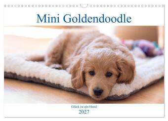 Kalendár/Diár Mini Goldendoodle - Glück ist ein Hund (Wandkalender 2027 DIN A3 quer), CALVENDO Monatskalender Calvendo