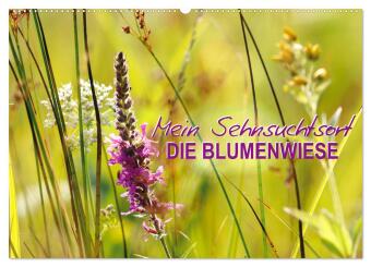 Kalendár/Diár Mein Sehnsuchtsort, die Blumenwiese (Wandkalender 2027 DIN A2 quer), CALVENDO Monatskalender Calvendo