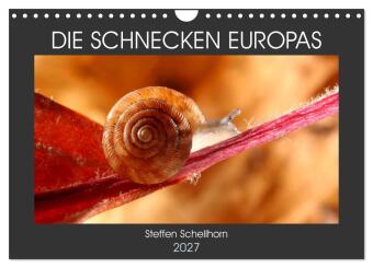 Kalender/Terminbuch DIE SCHNECKEN EUROPAS (Wandkalender 2027 DIN A4 quer), CALVENDO Monatskalender Calvendo