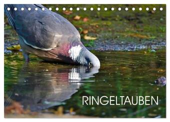Calendario/Diario Ringeltauben (Tischkalender 2027 DIN A5 quer), CALVENDO Monatskalender Calvendo
