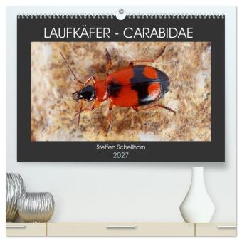 Kalender/Terminbuch LAUFKÄFER - CARABIDAE (hochwertiger Premium Wandkalender 2027 DIN A2 quer), Kunstdruck in Hochglanz Calvendo