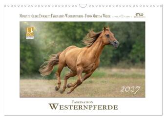 Kalendár/Diár Faszination Westernpferde (Wandkalender 2027 DIN A3 quer), CALVENDO Monatskalender Calvendo