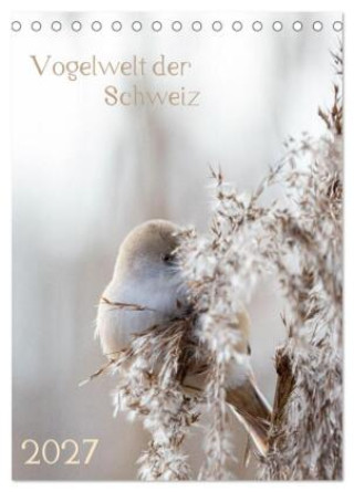 Kalender/Terminbuch Vogelwelt der Schweiz (Tischkalender 2027 DIN A5 hoch), CALVENDO Monatskalender Calvendo