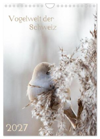 Kalender/Terminbuch Vogelwelt der Schweiz (Wandkalender 2027 DIN A4 hoch), CALVENDO Monatskalender Calvendo