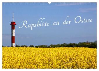 Kalender/Terminbuch Rapsblüte an der Ostsee (Wandkalender 2027 DIN A2 quer), CALVENDO Monatskalender Calvendo