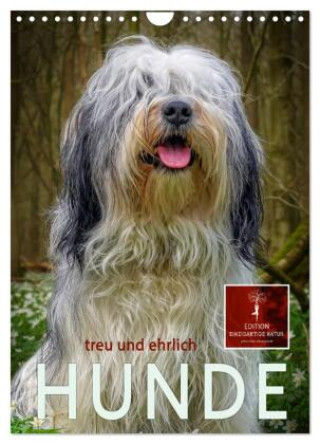 Kalender/Terminbuch Hunde - treu und ehrlich (Wandkalender 2027 DIN A4 hoch), CALVENDO Monatskalender Calvendo