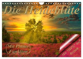Naptár/Határidőnapló Die Heideblüte (Wandkalender 2027 DIN A4 quer), CALVENDO Monatskalender Calvendo