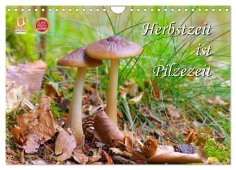 Kalender/Terminbuch Herbstzeit ist Pilzezeit (Wandkalender 2027 DIN A4 quer), CALVENDO Monatskalender Calvendo