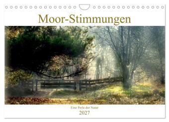 Kalender/Terminbuch Moor-Stimmungen (Wandkalender 2027 DIN A4 quer), CALVENDO Monatskalender Calvendo