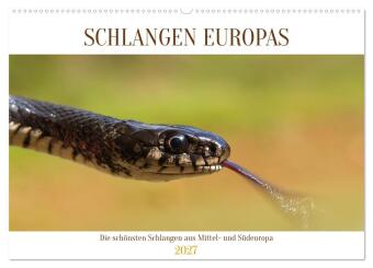 Kalender/Terminbuch Schlangen Europas (Wandkalender 2027 DIN A2 quer), CALVENDO Monatskalender Calvendo