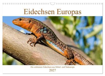 Naptár/Határidőnapló Eidechsen Europas (Wandkalender 2027 DIN A3 quer), CALVENDO Monatskalender Calvendo