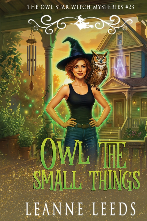 Könyv Owl the Small Things Leanne Leeds