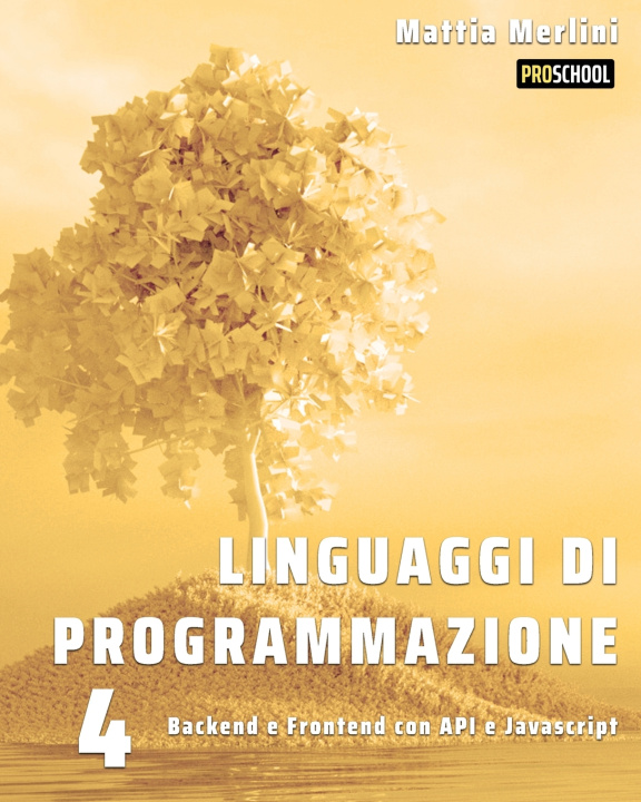 Könyv Linguaggi di Programmazione - Backend e Frontend con API e Javascript Mattia Merlini