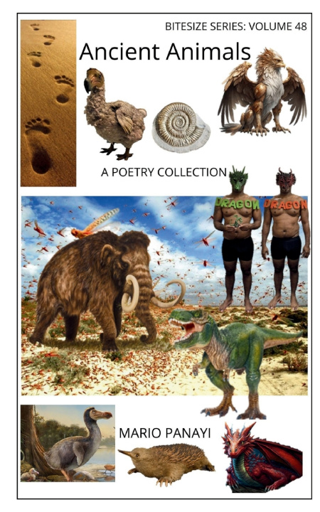 Carte Ancient Animals Mario Panayi