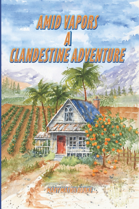 Book Amid Vapors A Clandestine Adventure Mary Mathis Burke