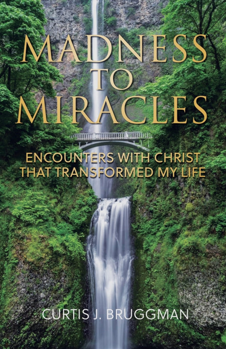 Book Madness to Miracles Curtis J Bruggman