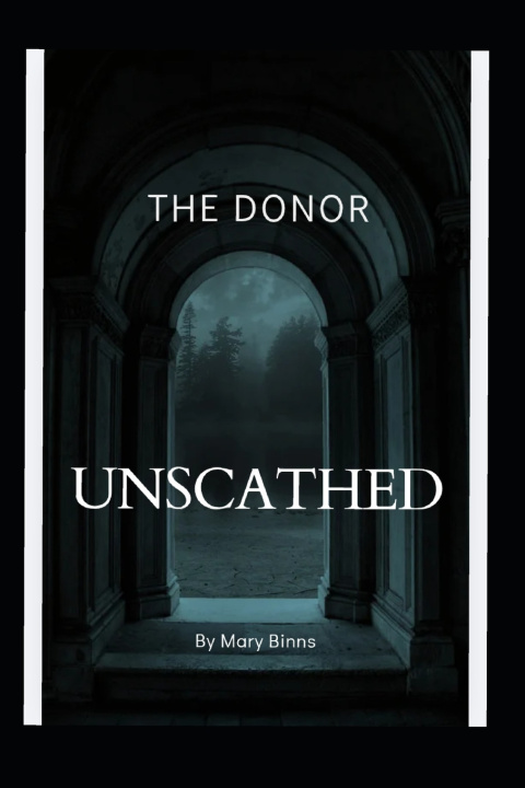 Könyv THE DONOR Mary N Binns