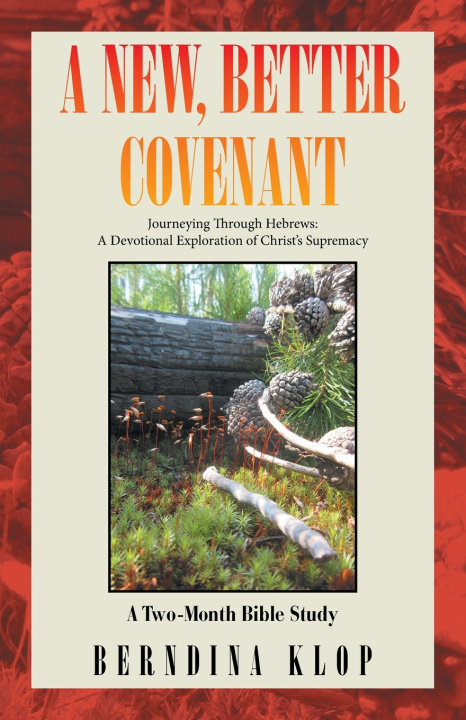 Buch A New, Better Covenant Berndina Klop