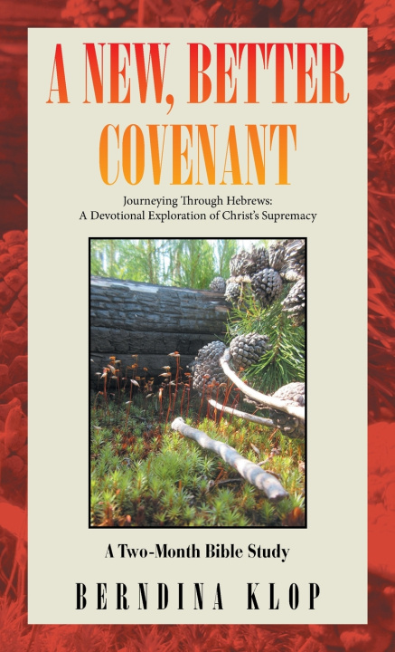 Buch A New, Better Covenant Berndina Klop