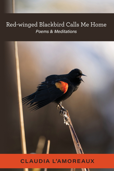 Libro Red-winged Blackbird Calls Me Home Claudia L'Amoreaux