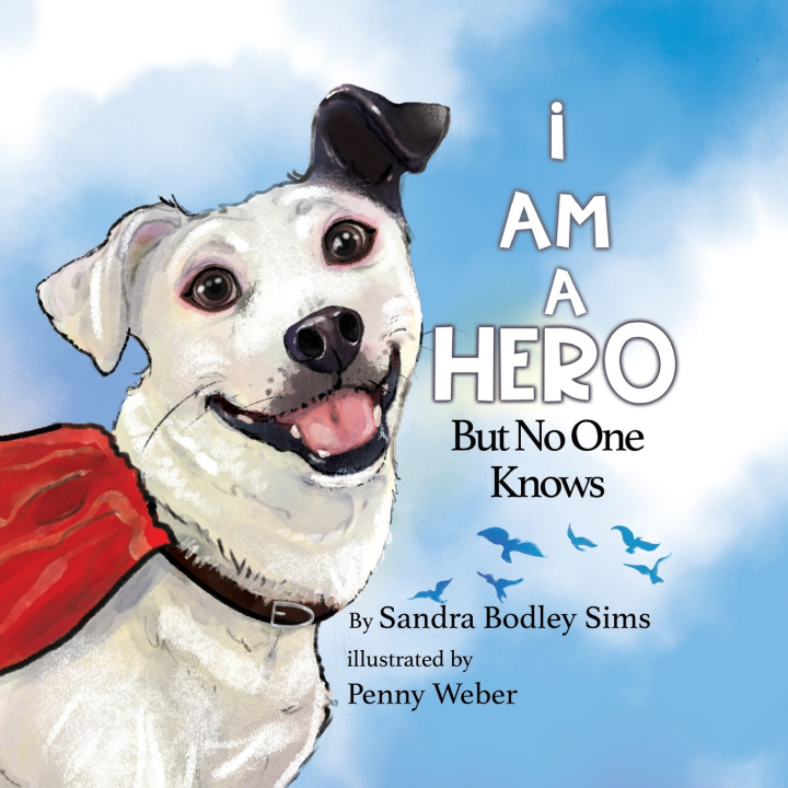 Kniha I Am A Hero But No One Knows Sandra Bodley Sims