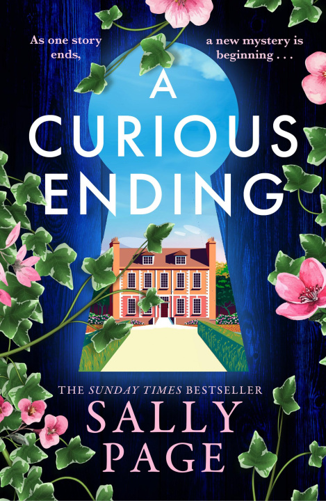 E-Book Curious Ending Sally Page