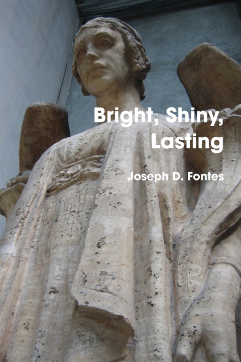 Knjiga Bright, Shiny, Lasting Joseph Fontes