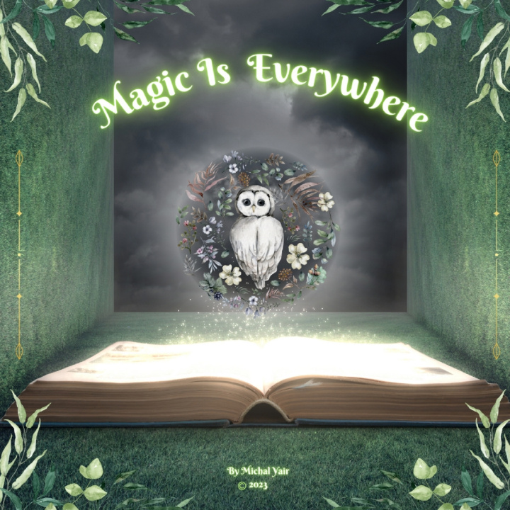 Carte Magic Is Everywhere Michal Yair