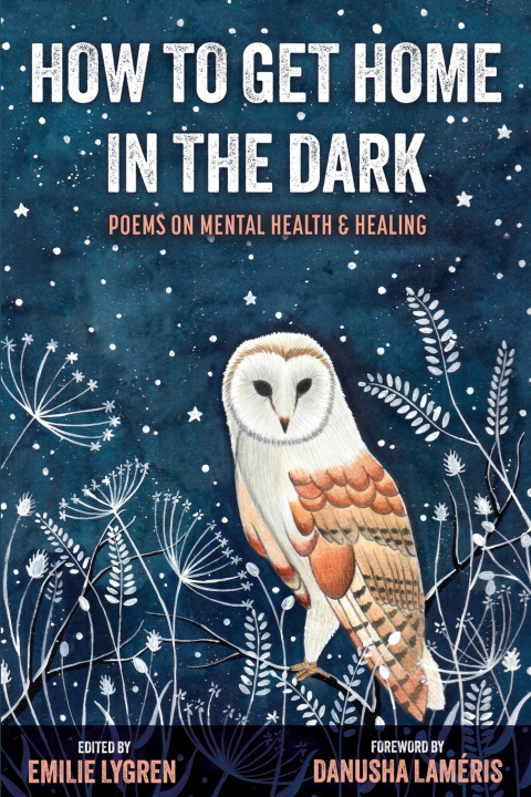 Libro How to Get Home in the Dark Emilie Lygren