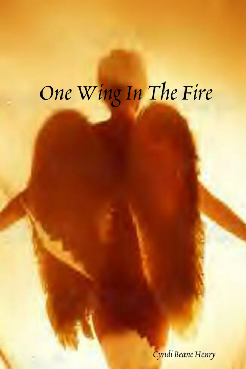 Boek One Wing In The Fire Cyndi Beane Henry