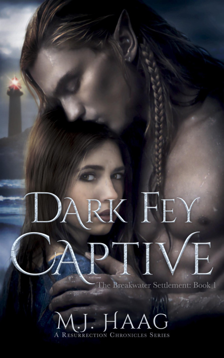E-book Dark Fey Captive M.J. Haag