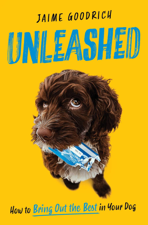 E-Book Unleashed Jaime Goodrich