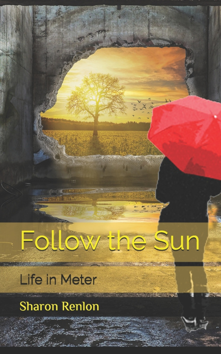 Livro Follow the Sun Sharon Renlon