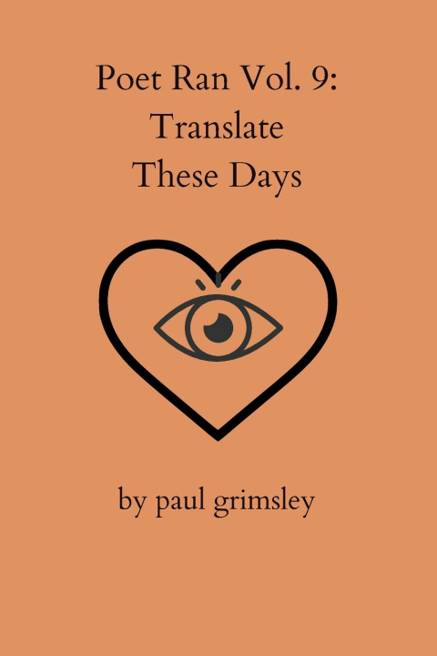 Knjiga Translate These Days Paul Grimsley