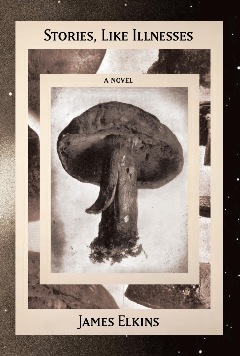 E-book Stories, Like Illnesses James Elkins