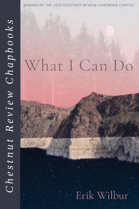 Книга What I Can Do Erik Wilbur