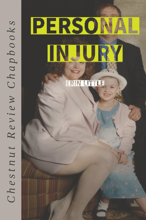 Buch Personal Injury Erin Little