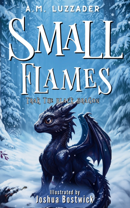 Книга Small Flames A.M. Luzzader