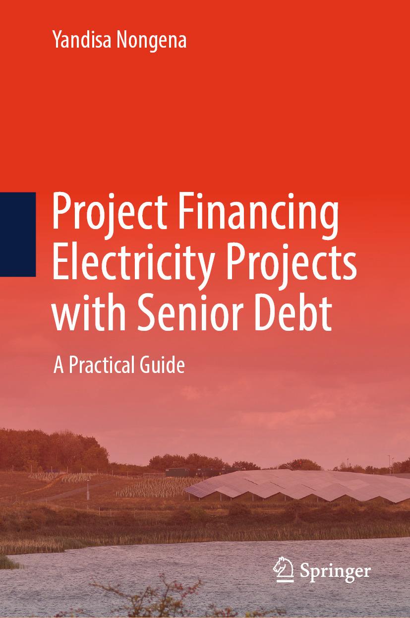 Libro elettronico Project Financing Electricity Projects with Senior Debt Yandisa Nongena