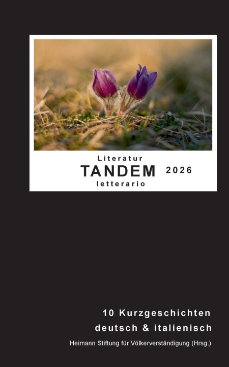 Kniha Literatur Tandem letterario 2026 Stiftung Heimann