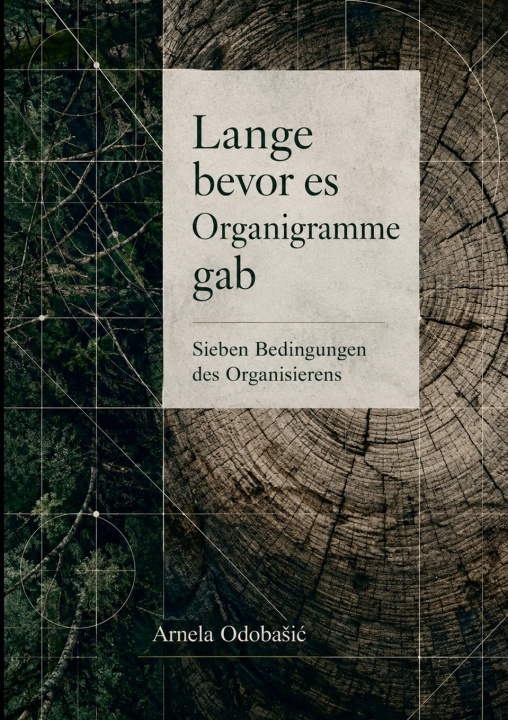 Buch Lange bevor es Organigramme gab Arnela Odobasic