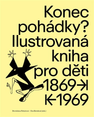 Livro Konec pohádky? Bronislava Rokytová