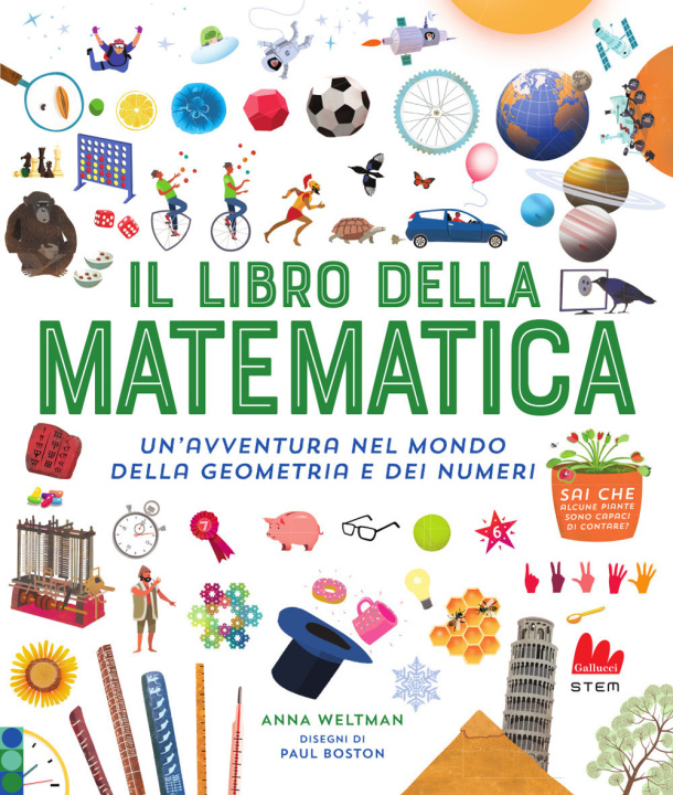 Buch libro della matematica Anna Weltman