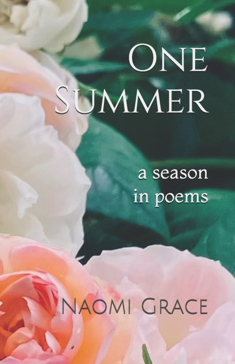 Libro One Summer Naomi Grace