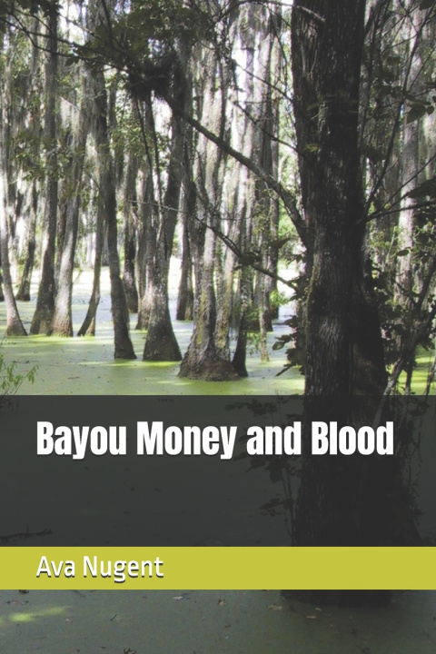 Buch Bayou Money and Blood Ava Nugent